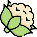 coliflor icon