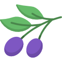 oliva 