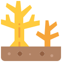 Árbol muerto 