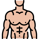 musculación 