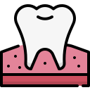 molar icon