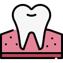 premolar icon