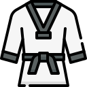 taekwondo icon