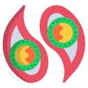 kimbap icon