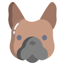 buldog