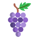 uvas icon