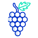 uvas icon