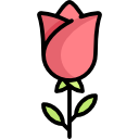 flor rosa icon