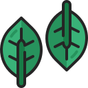 albahaca icon