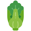 bok choy icon