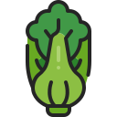 bok choy icon