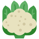 coliflor icon