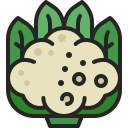 coliflor icon