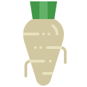 rábano picante icon