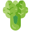 lechuga icon