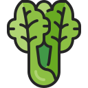 lechuga icon