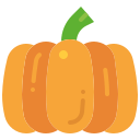 calabaza icon