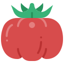 tomate icon