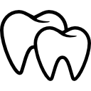 Pair of molars icon