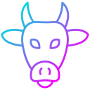 vaca