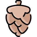 cono de pino icon