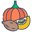 calabaza icon