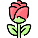 rosa icon