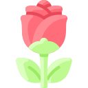 rosa icon