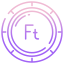 forint icon