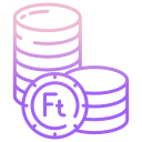 forint icon