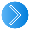 flecha correcta icon