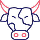 vaca