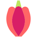 cacao icon