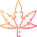 marijuana icon