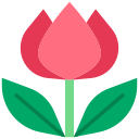 tulipán icon