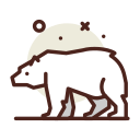 oso polar