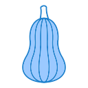 calabaza icon