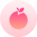 naranja icon