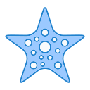 estrella de mar icon