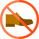 zapato icon