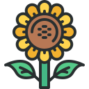 girasol icon