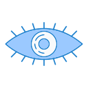 ojo icon