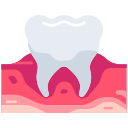 molar icon