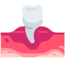 premolar icon