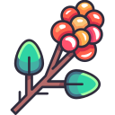 fruta icon