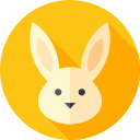 conejo icon