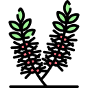 callistemon viminalis icon