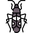 costae icon