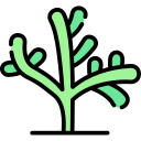 mesembryanthemum cryptanthum icon