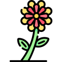 zinnia elegans icon